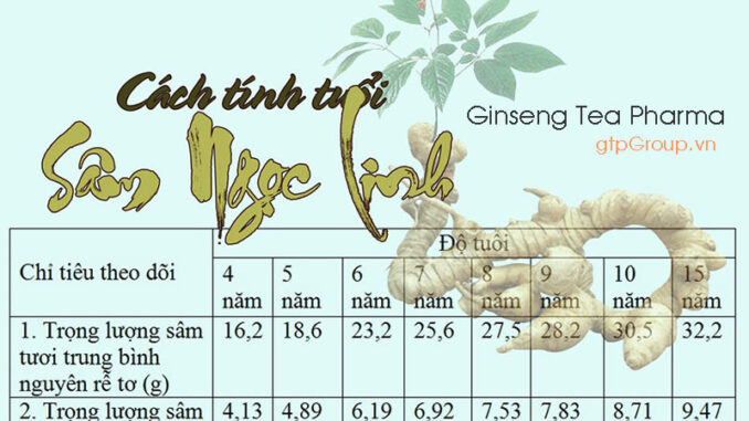 Xác định tuổi của sâm Ngọc Linh